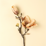 Magnolia Branch | Cream