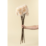 Dahlia Stem in Cream