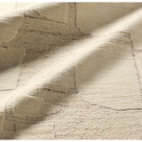 Lasden Rug in Frosted Almond