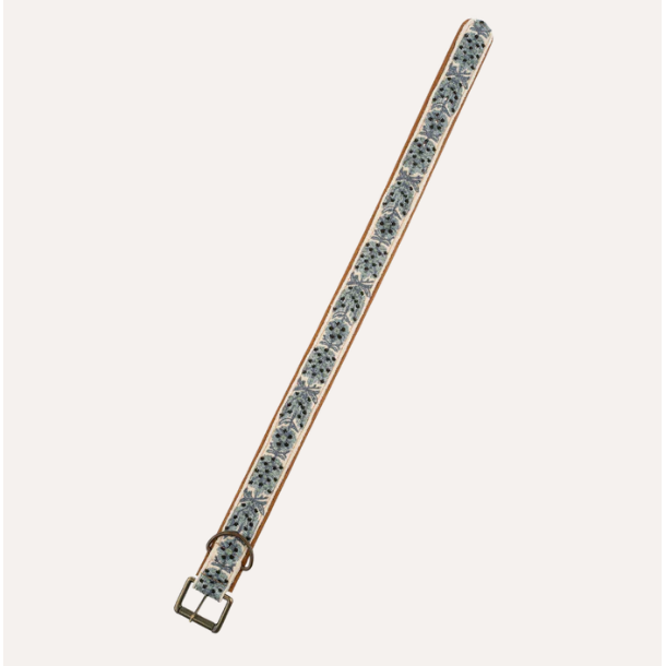 Dog Collar