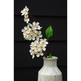 Pear Blossom Branch