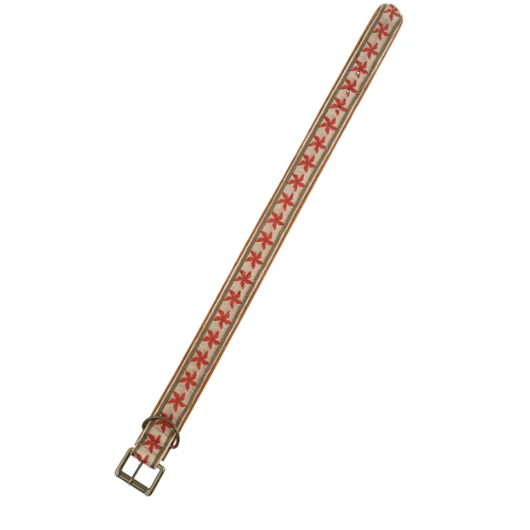 Dog Collar