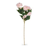 Hydrangea Branch in Pink