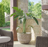 Regalia Planter