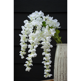 Wisteria Cascade in White