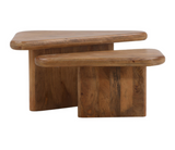 Sansa Coffee / Nesting Tables - Set of 2