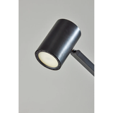 Newman Floor Lamp In Bronze