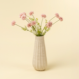 Mini Chrysanthemum in Pink