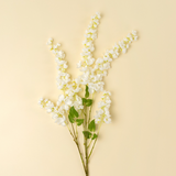 Wisteria Cascade in White