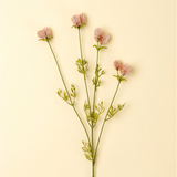 Dandelion Pom Spray | Pink