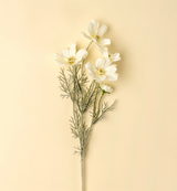 White Cosmos Spray