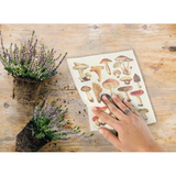 Size: 6.75x7.5"L
Material: Cellulose/Cotton
Color: White/Brown