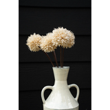 Dahlia Stem in Cream