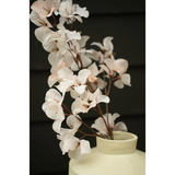 Bougainvillea Spray - Light Pink