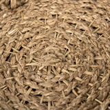 Haini Tray