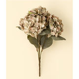 Autumn Hydrangea Spray