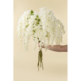 Wisteria Cascade in White