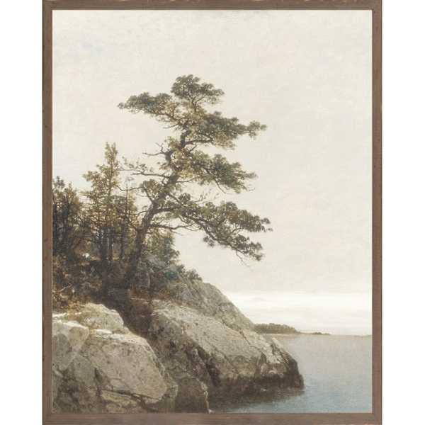 Northern Collection - The Old Pine C. 1872