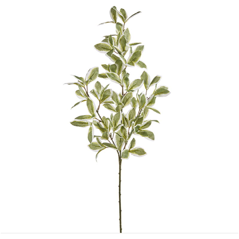 26" Variegated Euonymus Leaf Spray