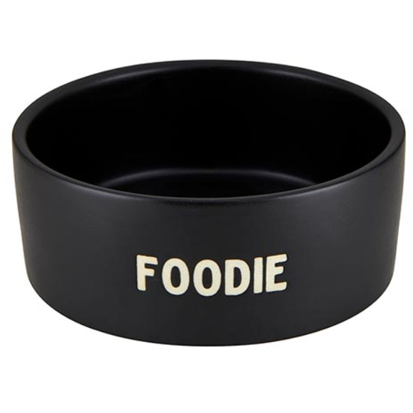 Foodie Pet Bowl