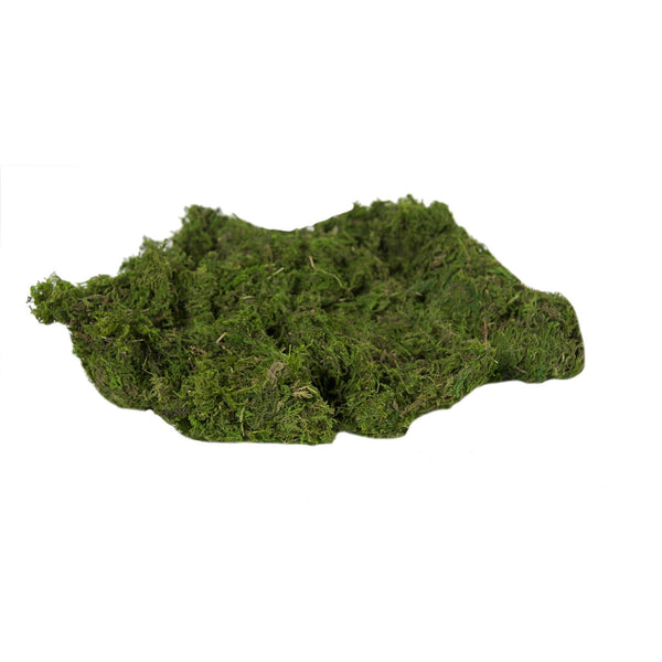 Moss (150G Bag)