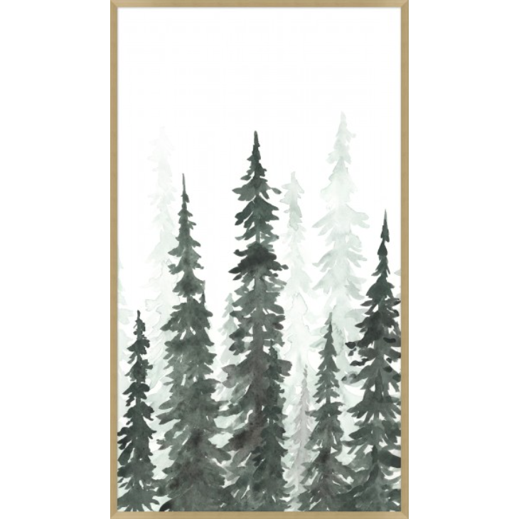 Watercolour Pine I