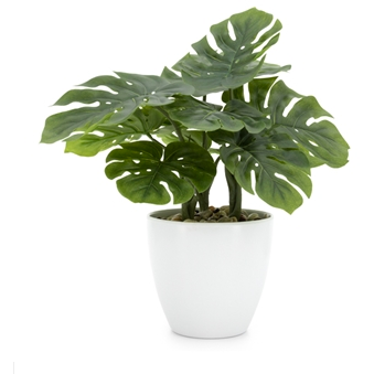 Villa Potted Plant