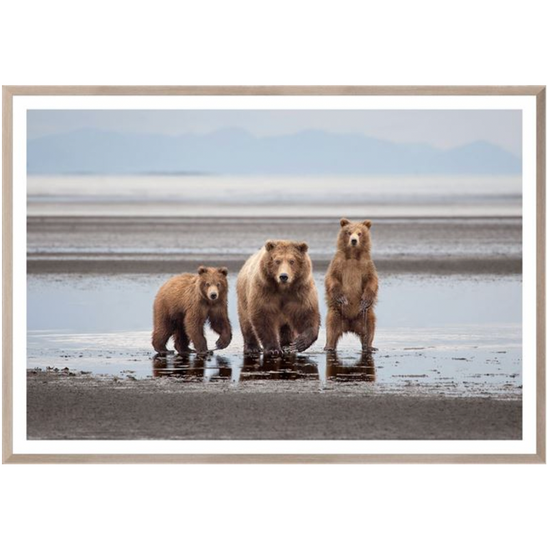 Natural Bear Family