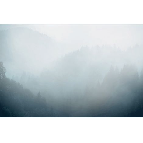 Misty Mountainside I