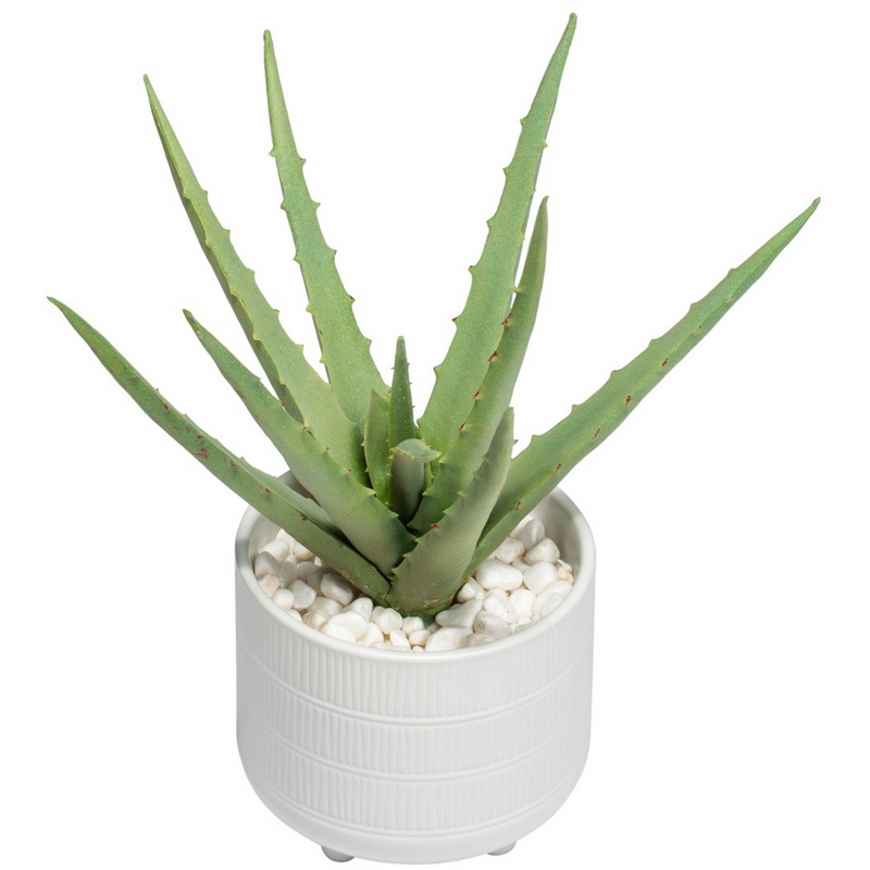 Riviera Ceramic Potted Faux 11h" Aloe Succulent Plant