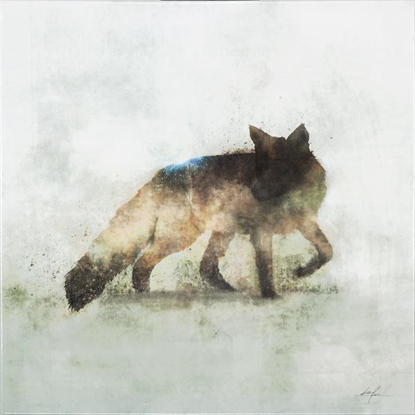 "Friendly Fox" Giclee Printed Canvas (44 x 44) - 122 West