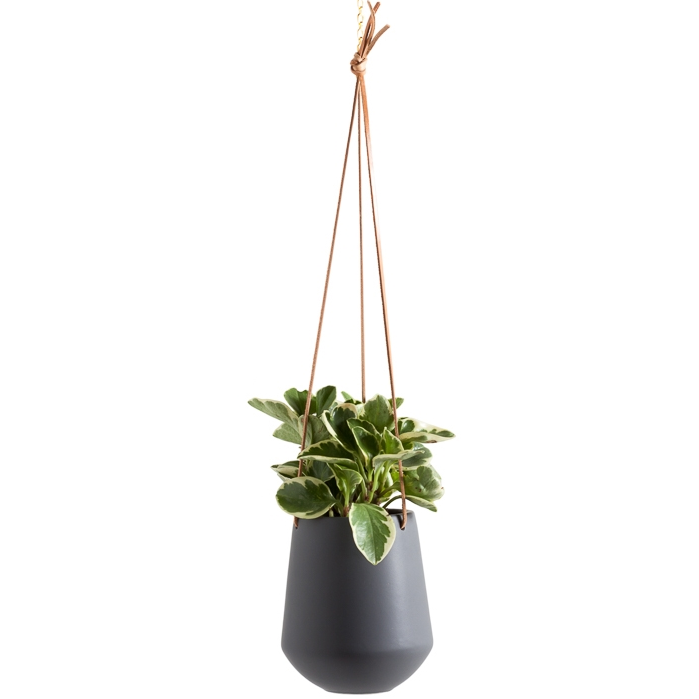 Leather Hanging Ceramic Planter