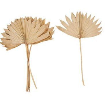 Dried Natural Palm Bunch, Sun Cut (Contains 6 Pieces)