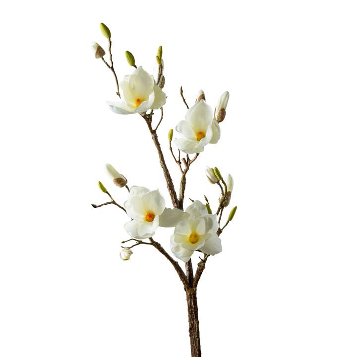 Magnolia 46" Large Multi Bloom Branch - White