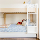 Perch Trundle Bed