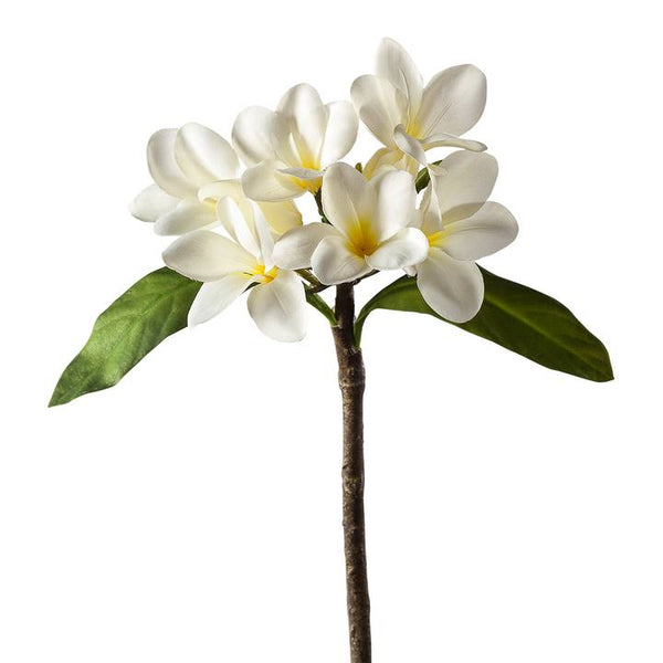 Plumeria 17" Multi Bloom Spray - White