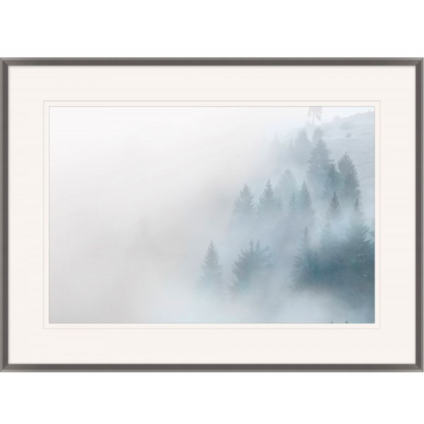 Trees In the Fog III