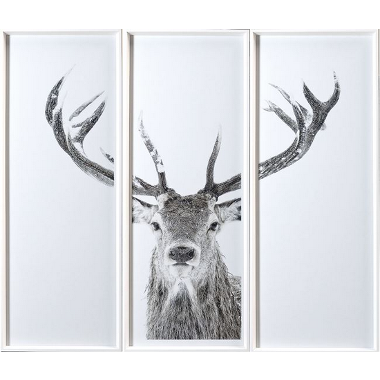 Stag - Triptych