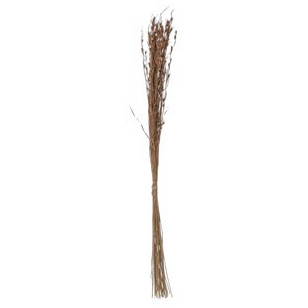 Dried Natural Red Grass Bunch