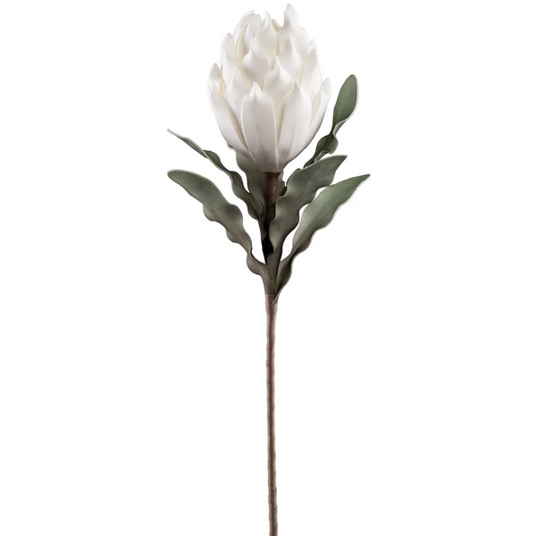 Desert Blooming Protea Stem - White