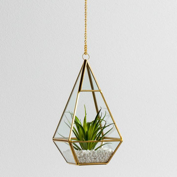 Oro Hanging Terrarium with Chain