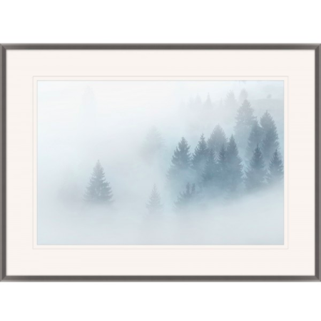 Trees In the Fog I