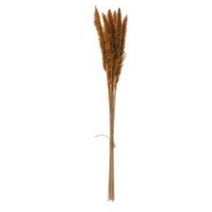 Natural Pampas Grass Bunch