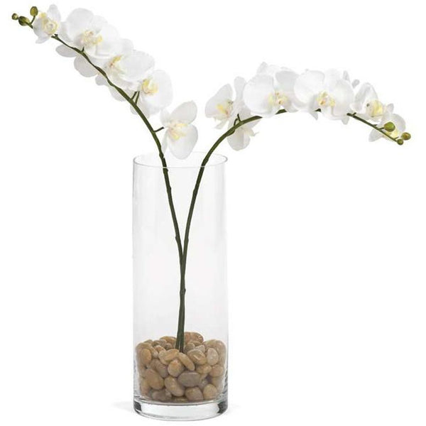 Orchid Single Stem 30" - White - 122 West