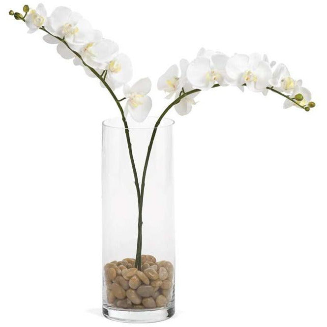 Orchid Single Stem 30" - White - 122 West